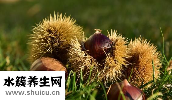 圣元蜜星客怎么样