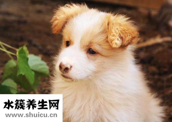 流产后多久会来月经