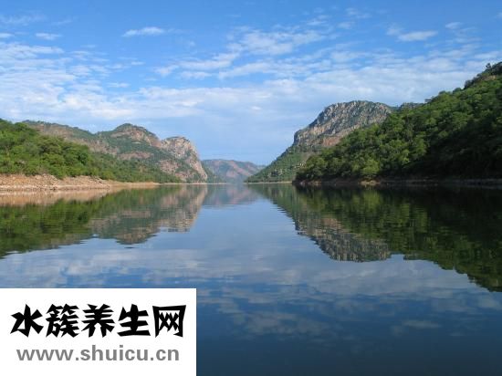 怎么样分辨白癜风