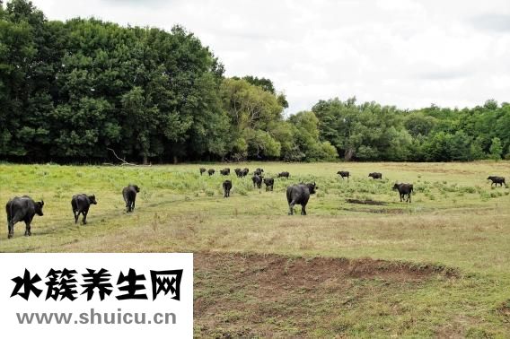 有高原反应怎么办