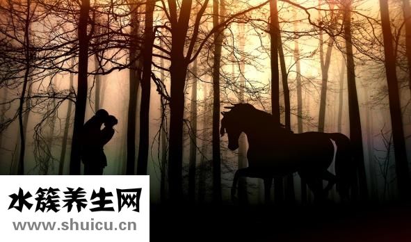 何洁为什么离婚