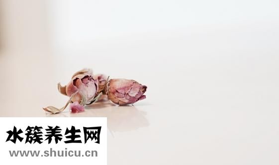 万病无忧膏怎么样