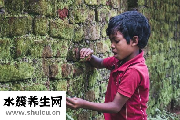 非诚勿扰杨凯怎么样