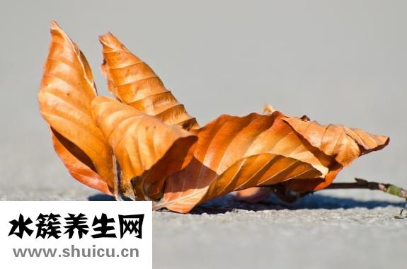 怎么用纸折蝴蝶结