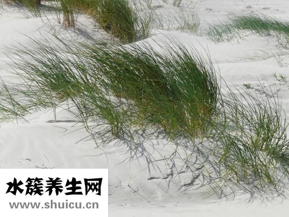 章一新怎么样