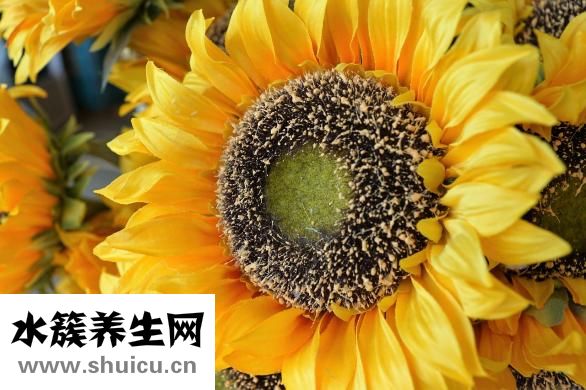 乐淘淘食品怎么样