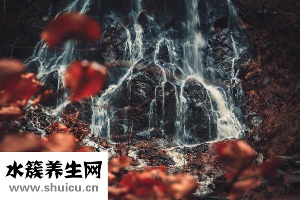 晚上失眠多梦怎么办
