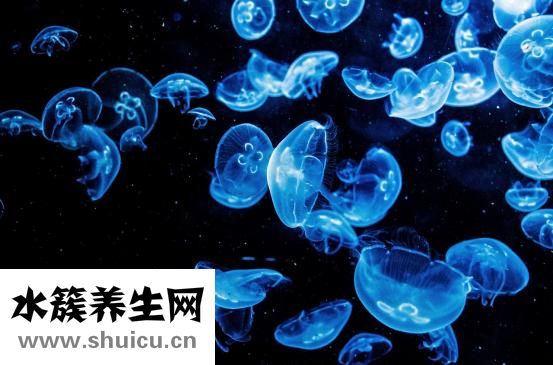 怎么样思考人生