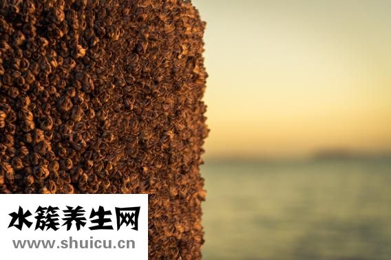 怎么样长多头发