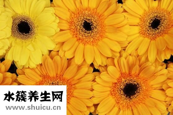 大脚骨该怎么办