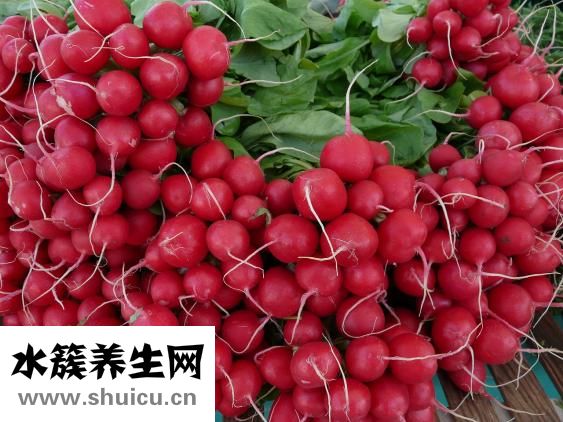 崔火仙怎么样