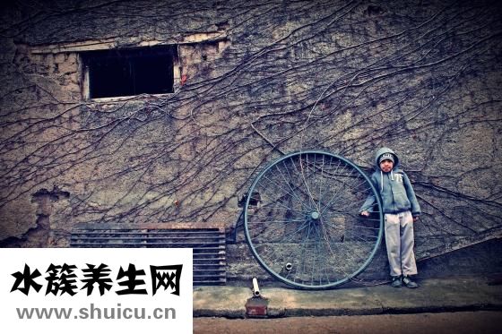 粽子叶是什么