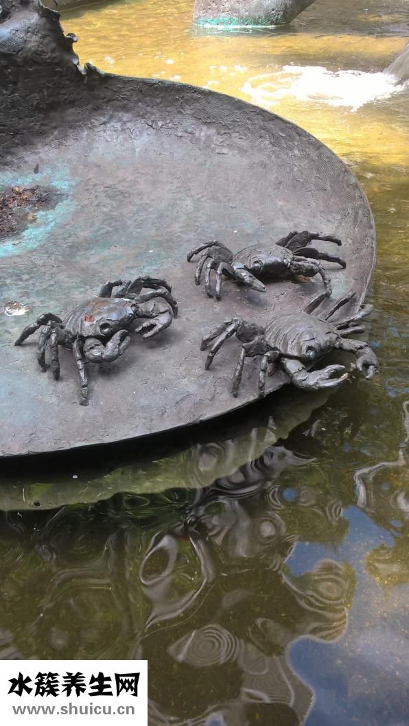 吃了死湖蟹会怎么样