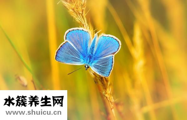 不激励会怎么样