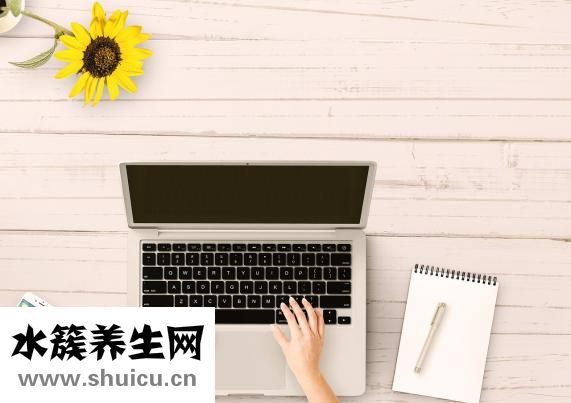 淘金丽人怎么样