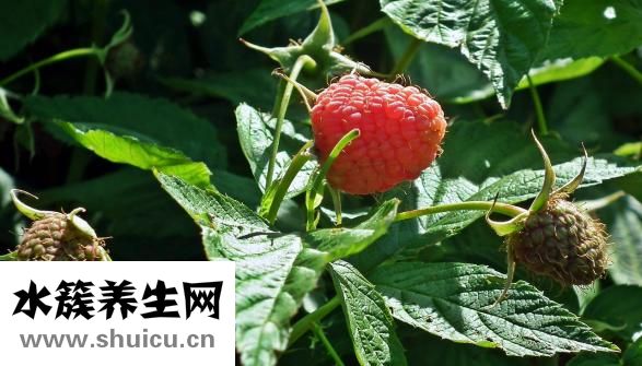 怎么减少红血丝