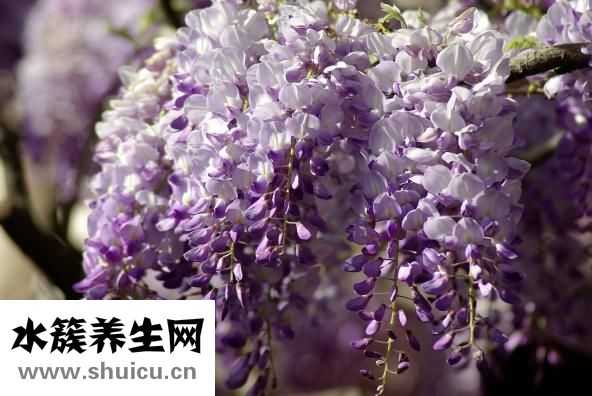 柏奥斯水龙头怎么样