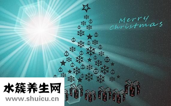 观视界眼镜怎么样