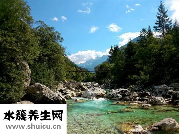 初生婴儿喝什么奶粉