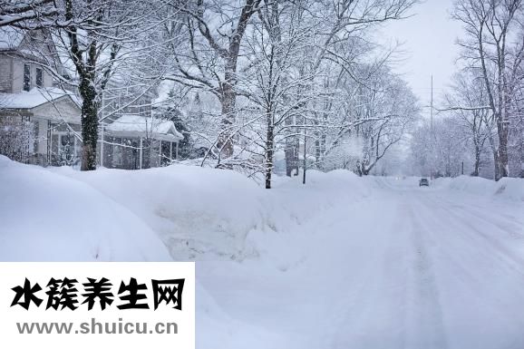 如何泡功夫茶