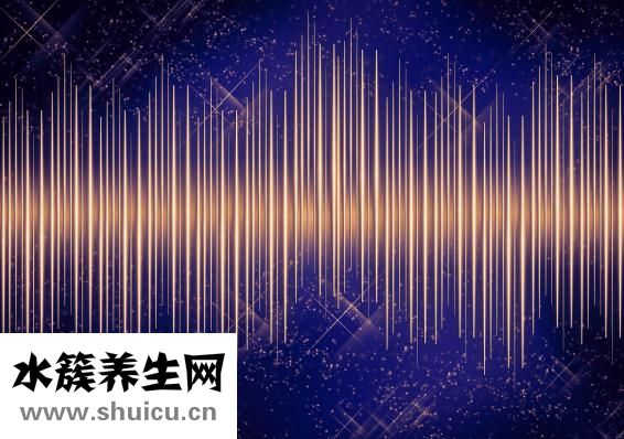 共振享雪怎么样