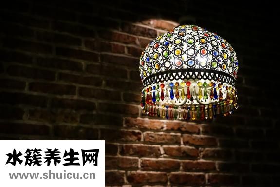 粽子叶是什么