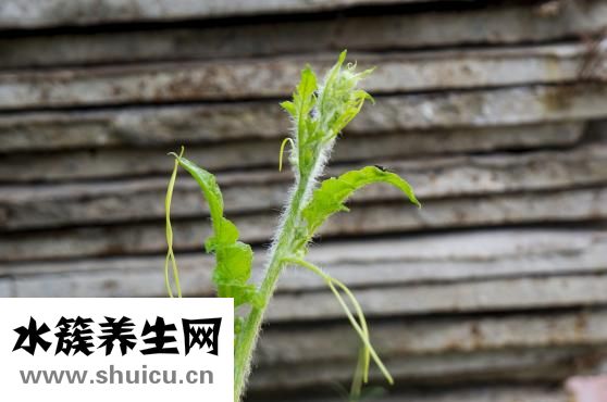 怎么减少红血丝