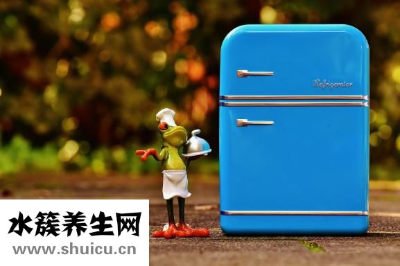 如何泡功夫茶