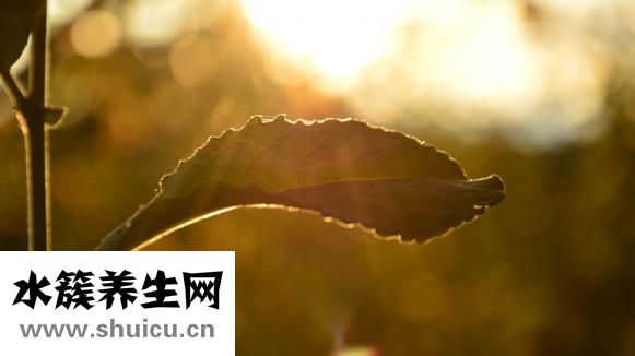 怎么样晒太阳补钙