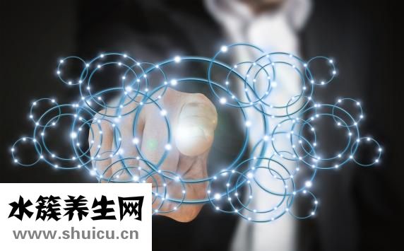 项羽是哪个朝代的