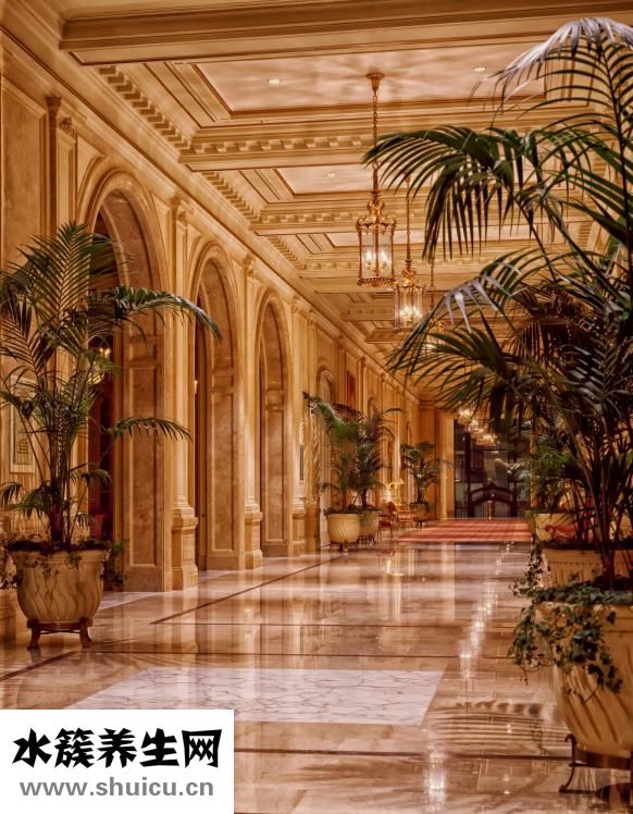 项羽是哪个朝代的