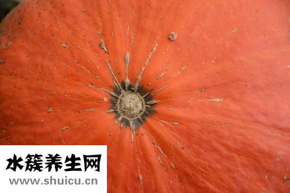 如何控制饮食减肥