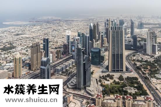 痛风定片怎么样