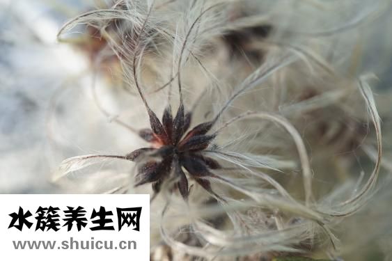 怎么治疗牛皮癣