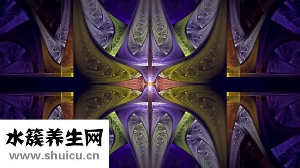 威兰德全瓷牙怎么样