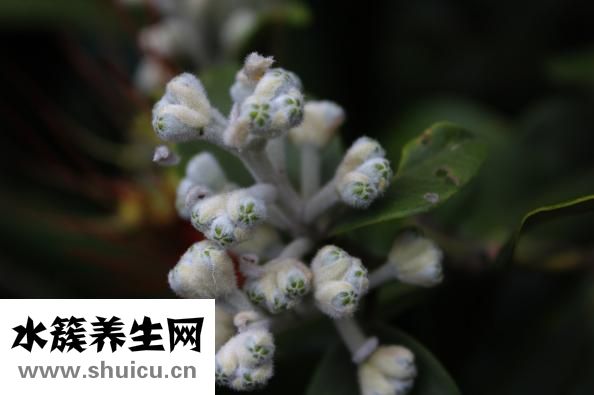 非诚勿扰杨凯怎么样