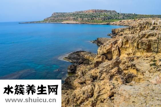 鸡候消怎么样