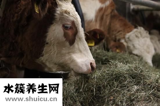 抑郁症吃什么药好