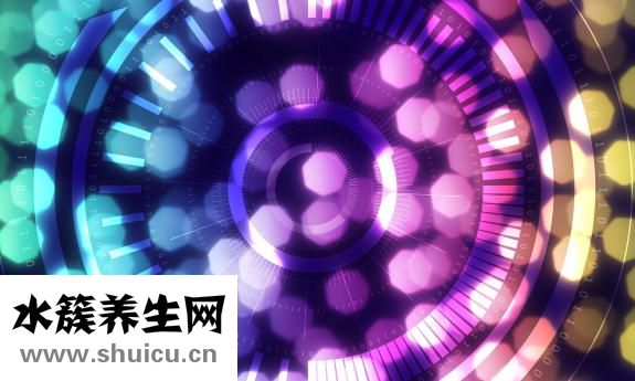 怎么样确定怀孕时间