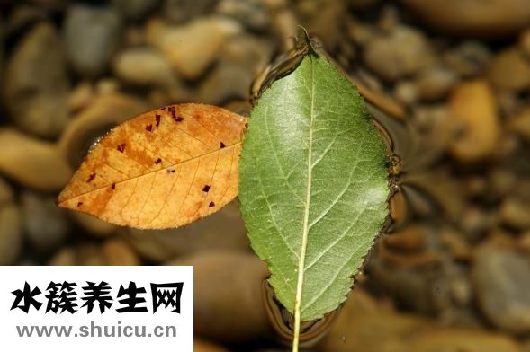冬至什么时候