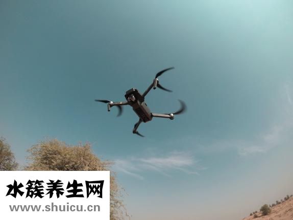 怎么样盆底机能训练