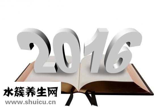节固力怎么样