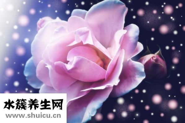 一品康孕妇喝怎么样