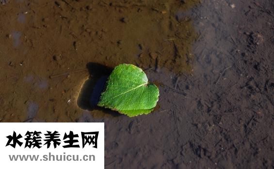 怎么样的污垢