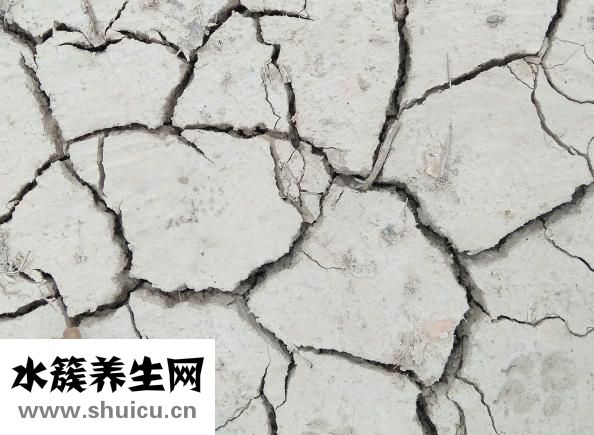 冠周炎吃什么药