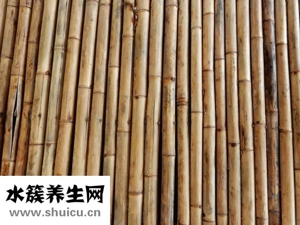 丽得姿猪鼻贴怎么样