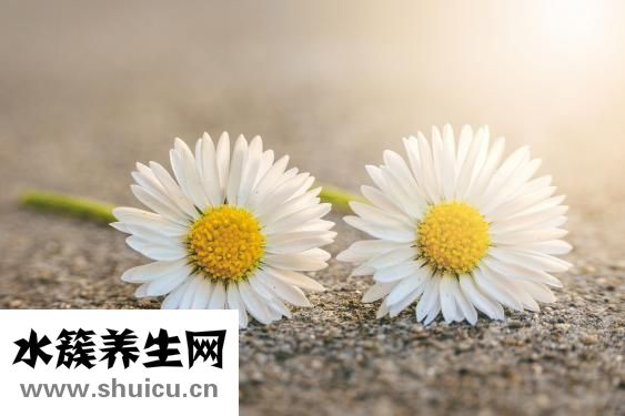 非诚勿扰杨凯怎么样