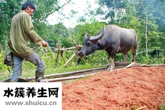 康贝的湿巾怎么样