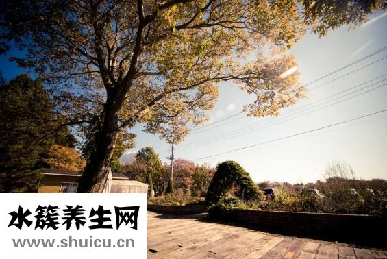 一楼铺地暖怎么样