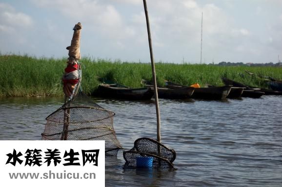 贝畅清清宝怎么样